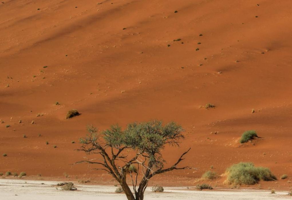 Séjour en namibie : quand partir et combien de temps rester
