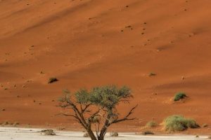 Séjour en namibie : quand partir et combien de temps rester
