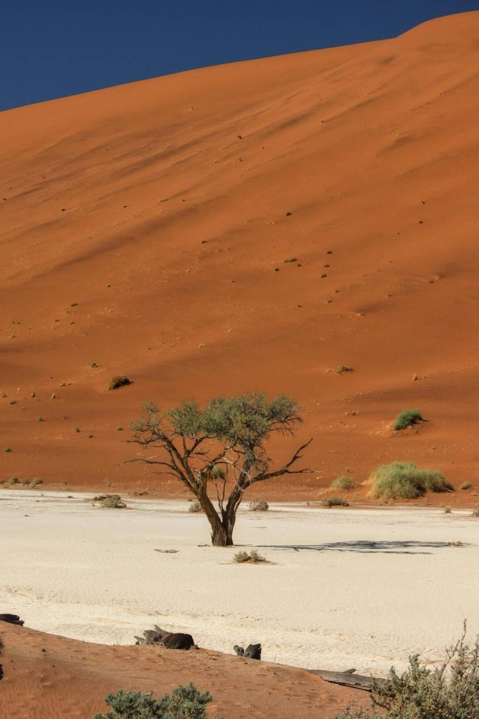 Séjour en namibie : quand partir et combien de temps rester