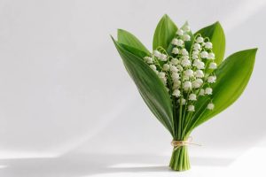 1er mai : muguet image gratuite à partager pour célébrer la journée du travail