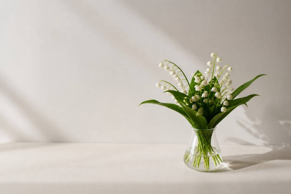 1er mai images muguet pour célébrer le printemps en douceur