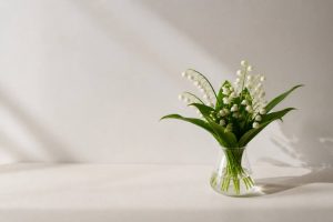 1er mai images muguet pour célébrer le printemps en douceur