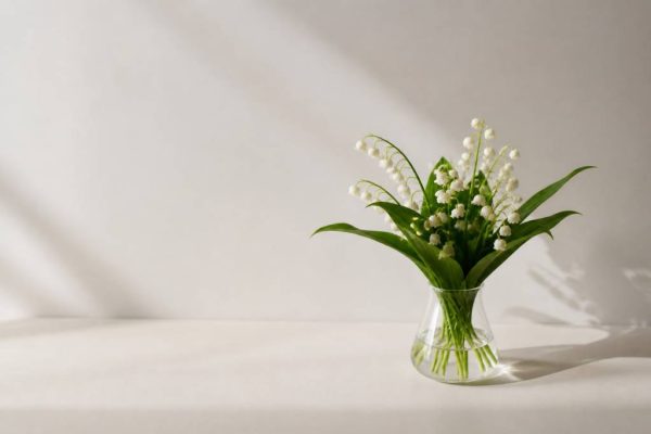 1er mai images muguet pour célébrer le printemps en douceur