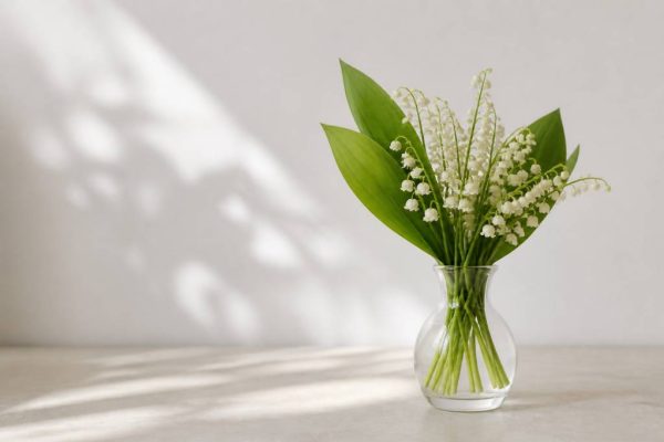 1er mai muguet porte-bonheur histoire et idées pour une fête pleine de chance