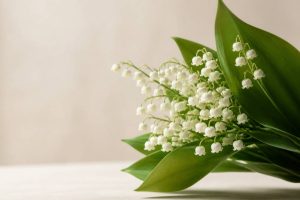 1er mai gif animé : les plus belles images pour célébrer la fête du Travail