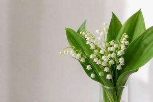 1er mai muguet gif : les plus jolies images à partager