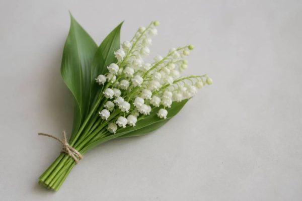 1er mai muguet humour : les meilleures blagues pour célébrer la fête du Travail